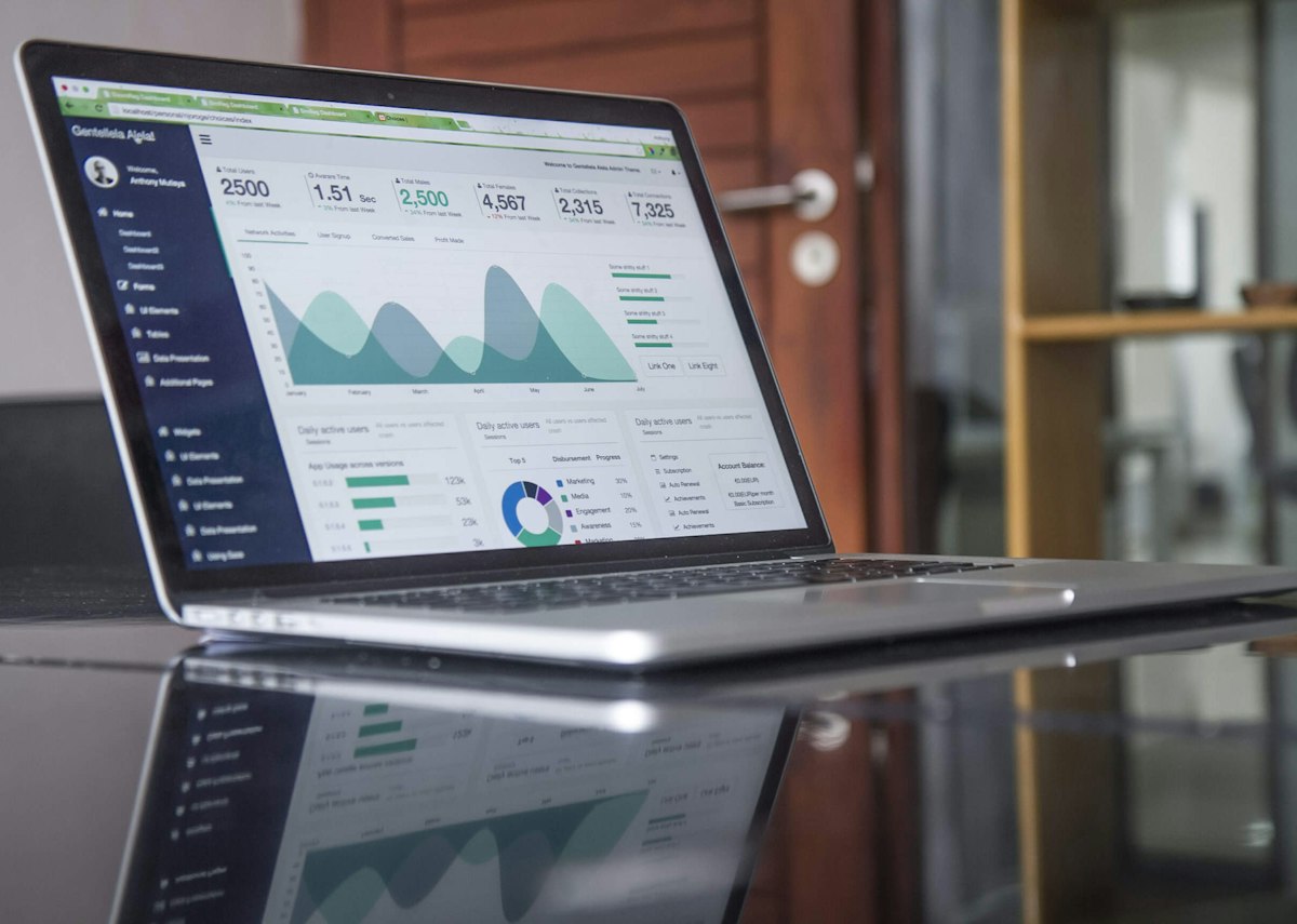 Laptop screen showing charts used to review household cash flow